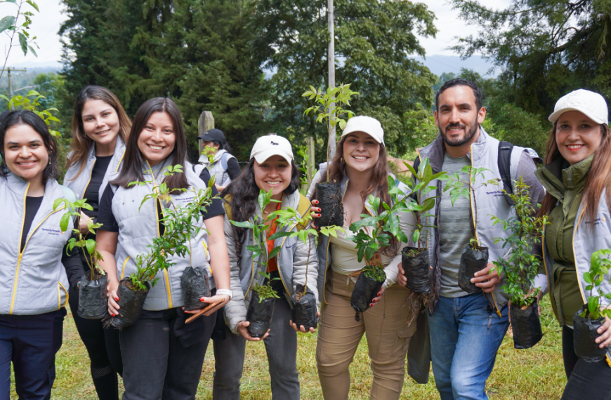 Junto a comunidades locales, Banco de Bogotá ha sembrado más…